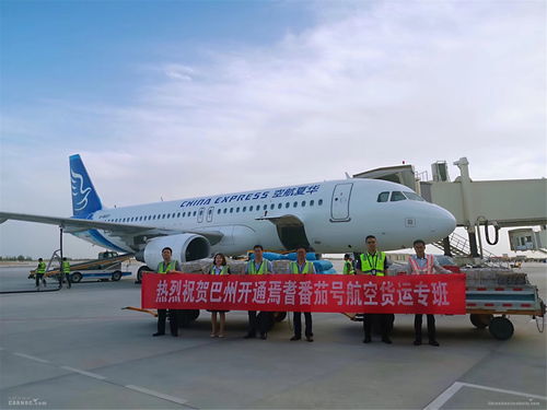 庫爾勒機(jī)場年旅客吞吐量突破220萬人次，空運(yùn)與道路貨運(yùn)協(xié)同發(fā)展助推區(qū)域經(jīng)濟(jì)